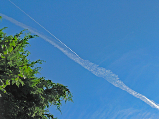 Foto: Bjarne Nørgaard