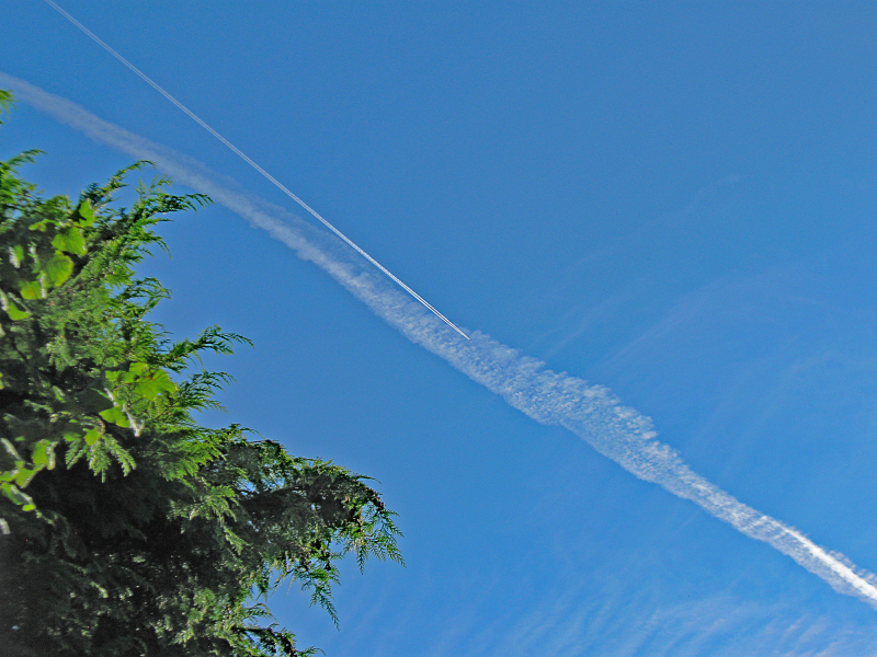 Foto: Bjarne Nørgaard