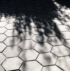 Foto: Bjarne Nørgaard