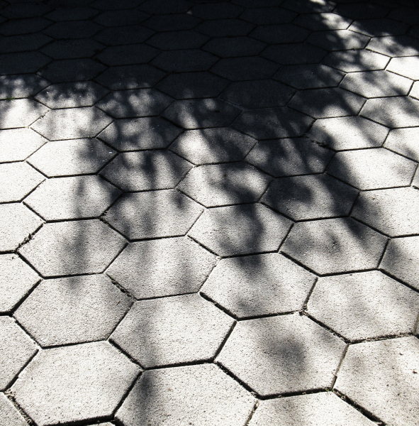 Foto: Bjarne Nørgaard