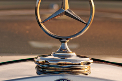 September 2025  - TEMA: Linjer