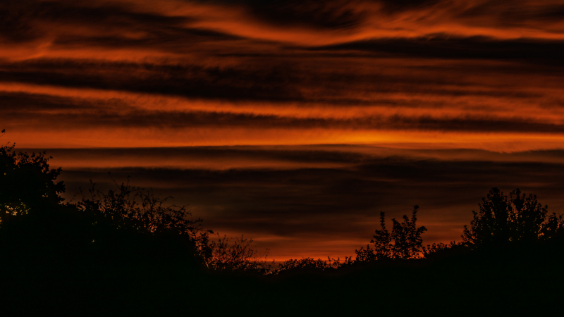 Foto: Kim Lilbæk Cenholt