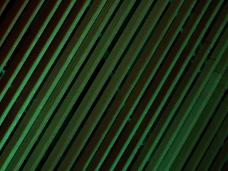 Foto: Mogens Petersen