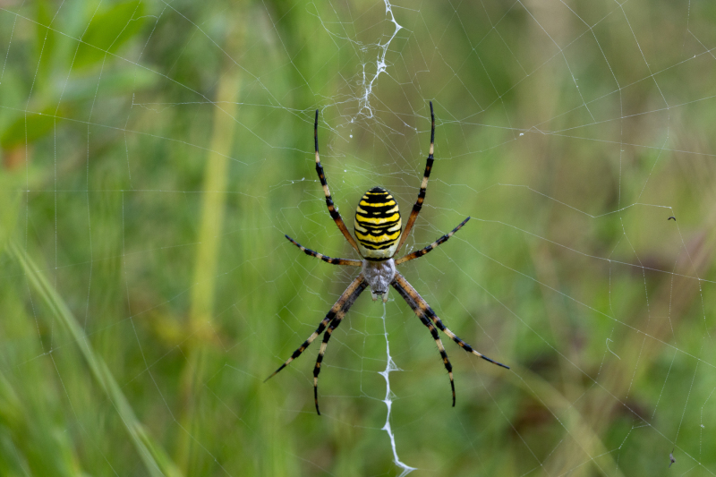 Foto: Rikke Malene Bruun