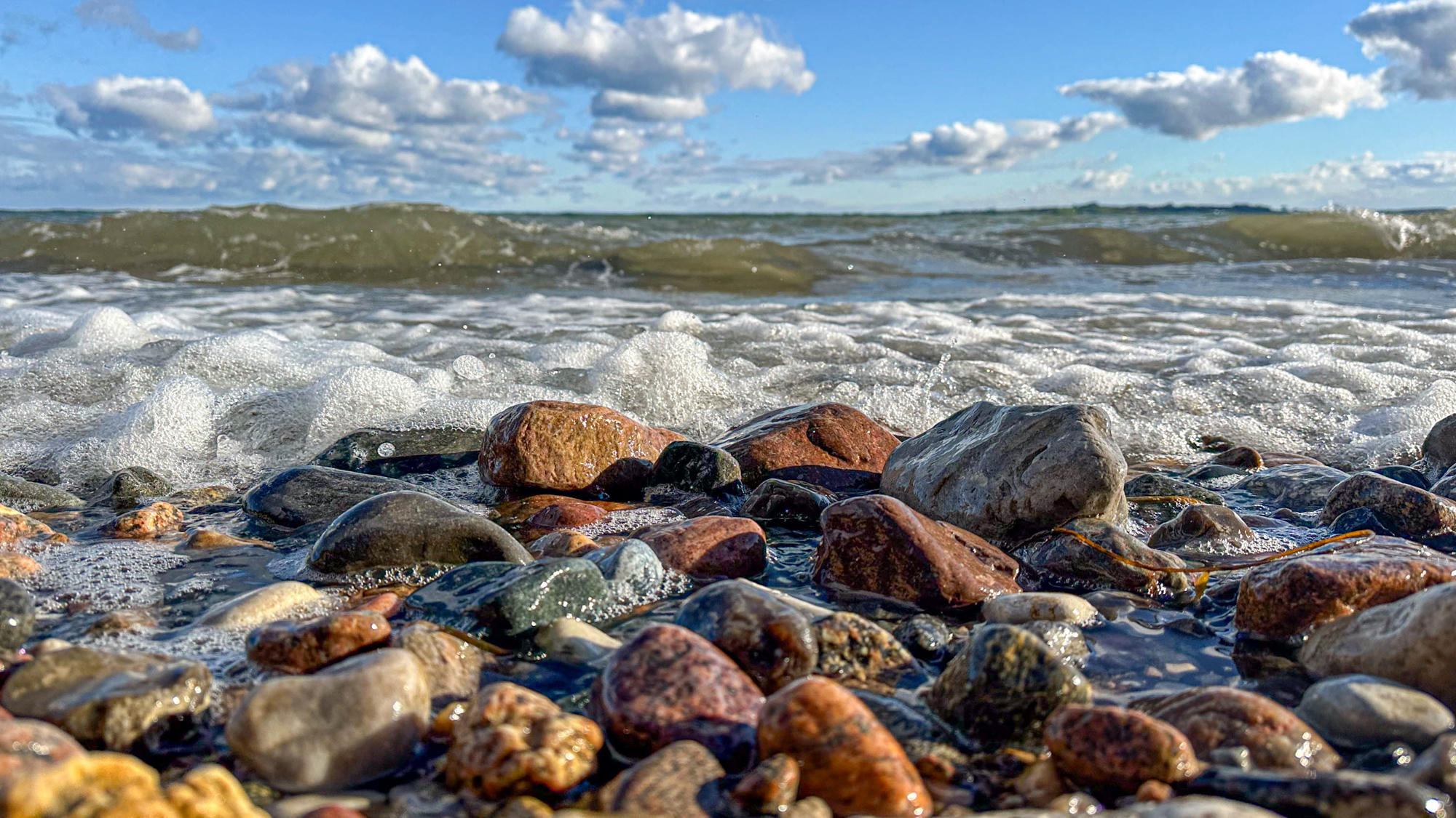 Månedens foto